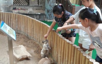 2016년 문화마을만들기 2분기 생태학교실시 이미지